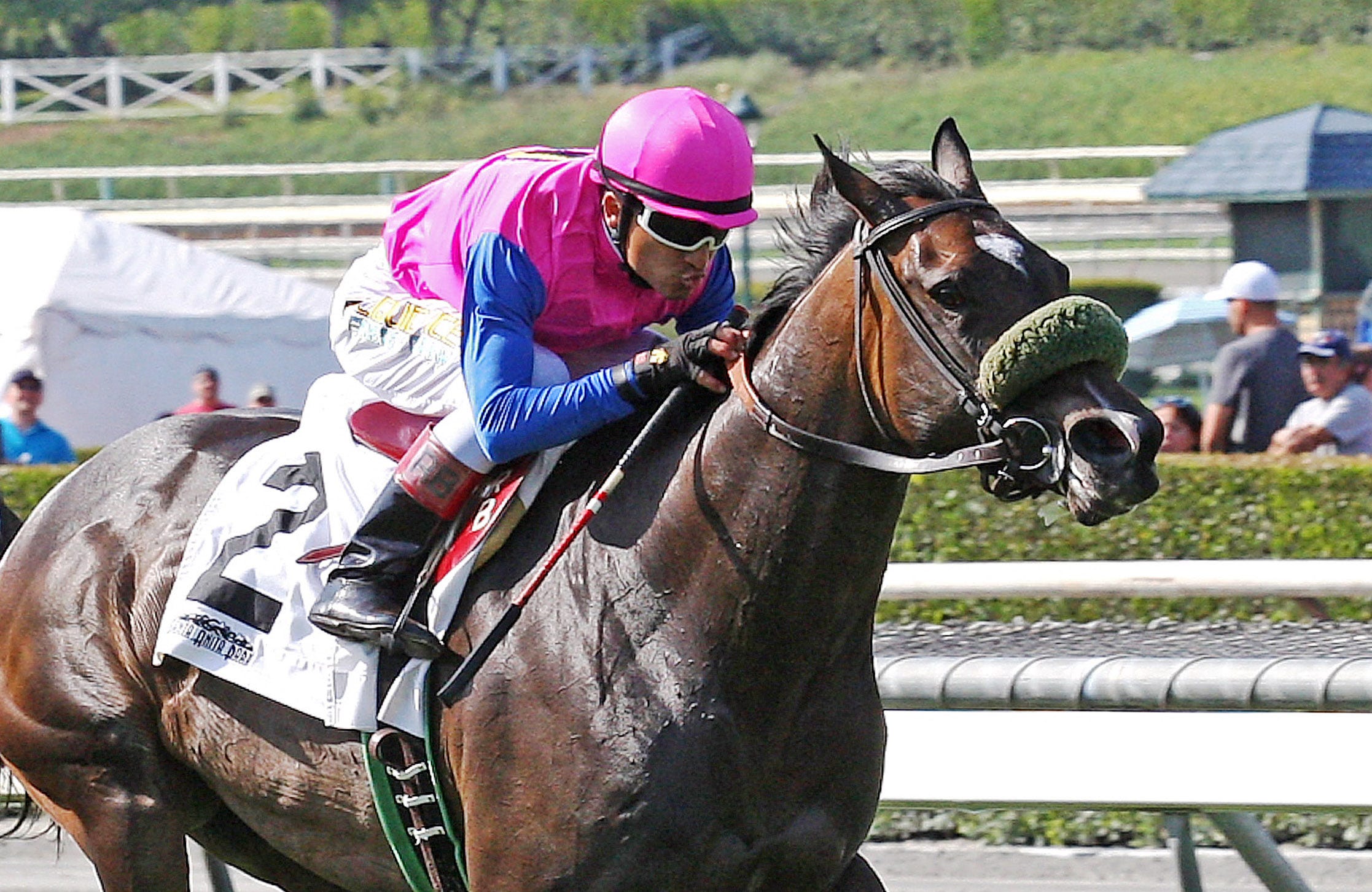 Home Journey Looks Too Quick For Rivals In California Distaff